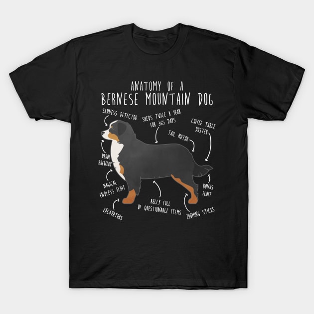 Bernese Mountain Dog Anatomy T-Shirt by Psitta